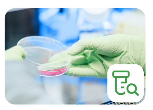 Person wearing green gloves holding a petri dish with a research icon on the right