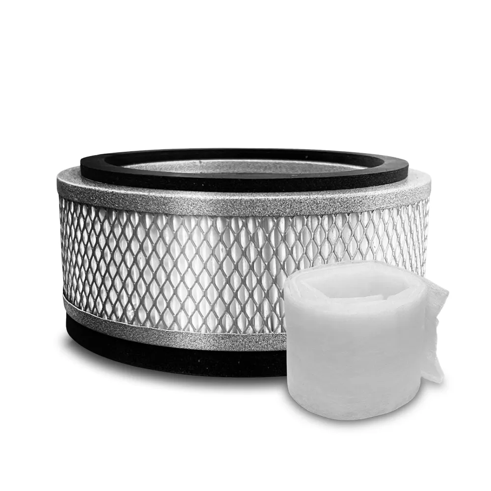 Austin It Air HEPA filter and carbon filter on a white background
