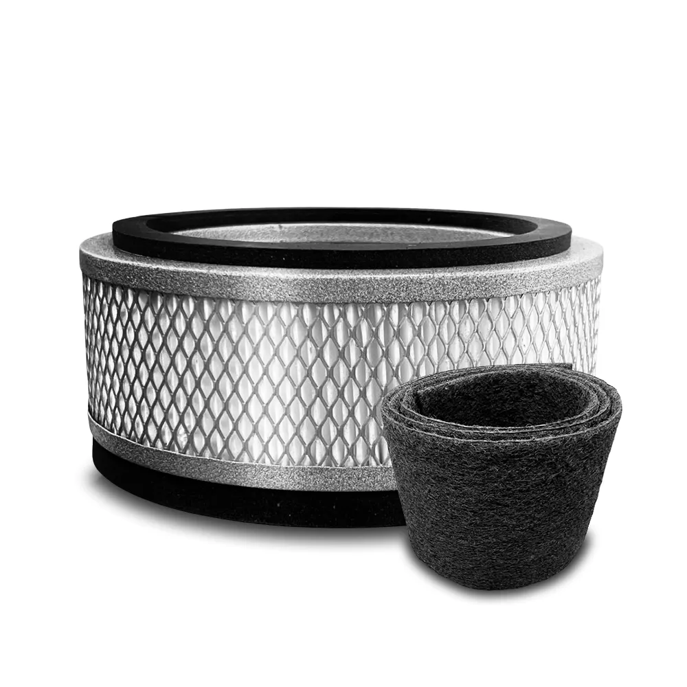 Austin It Air HEPA filter and carbon filter on a white background