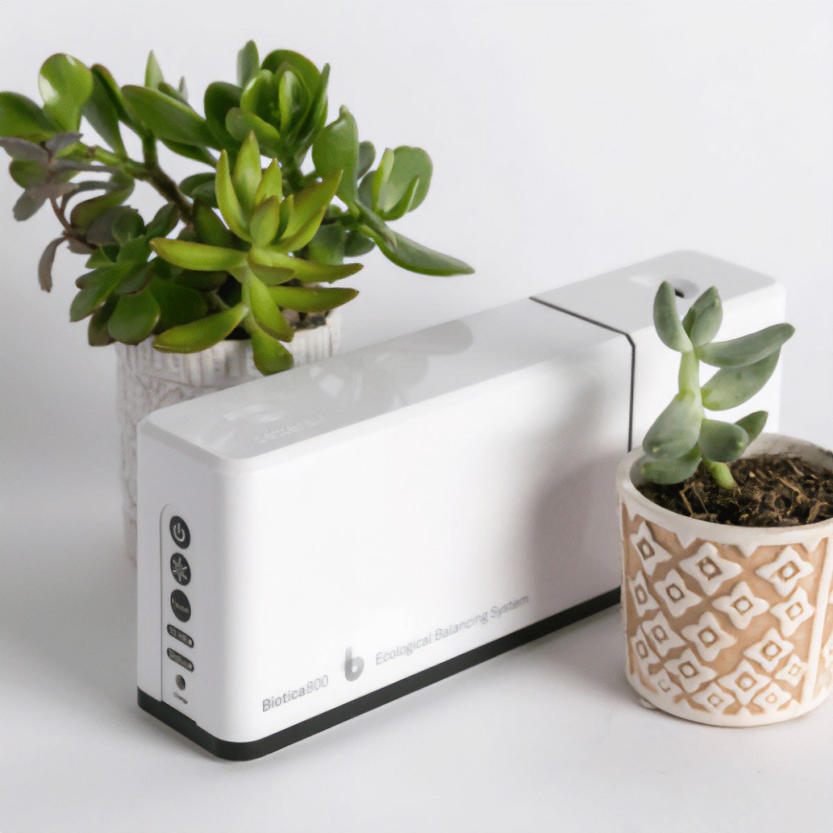 White BioTica Ecological Balancing System on a table with with succulents