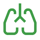 Lungs and asthma icon