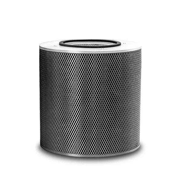 Austin Air Replacement Filter for Junior Sized machines on a white background